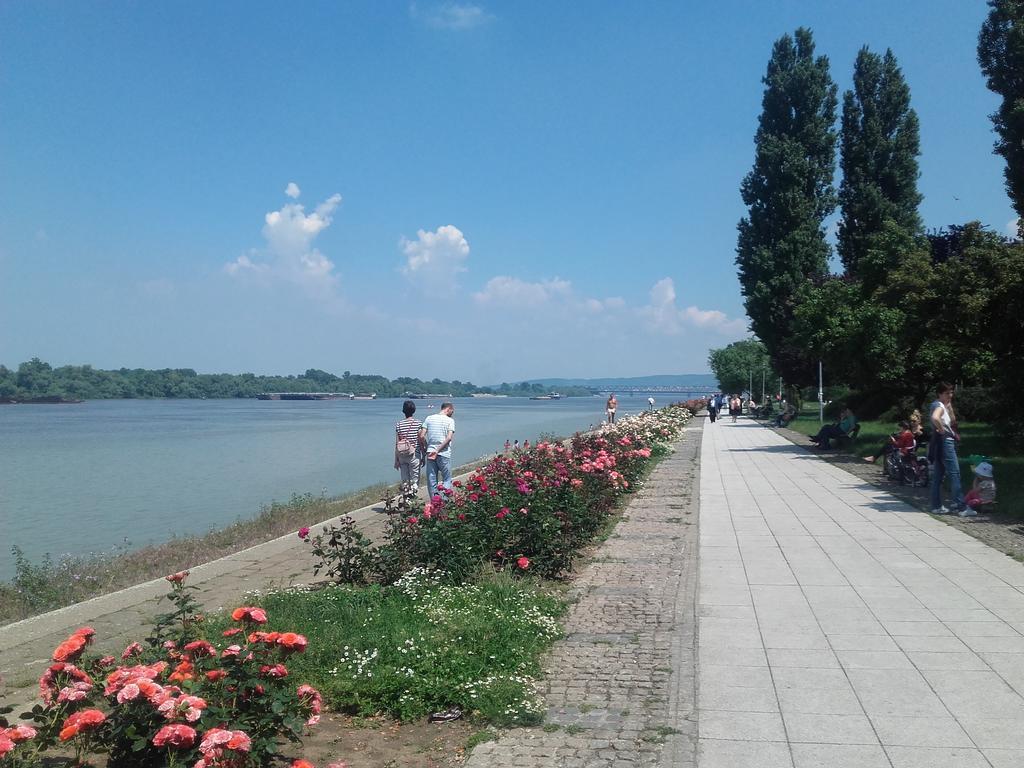 Danube Apartment Beograd Bagian luar foto