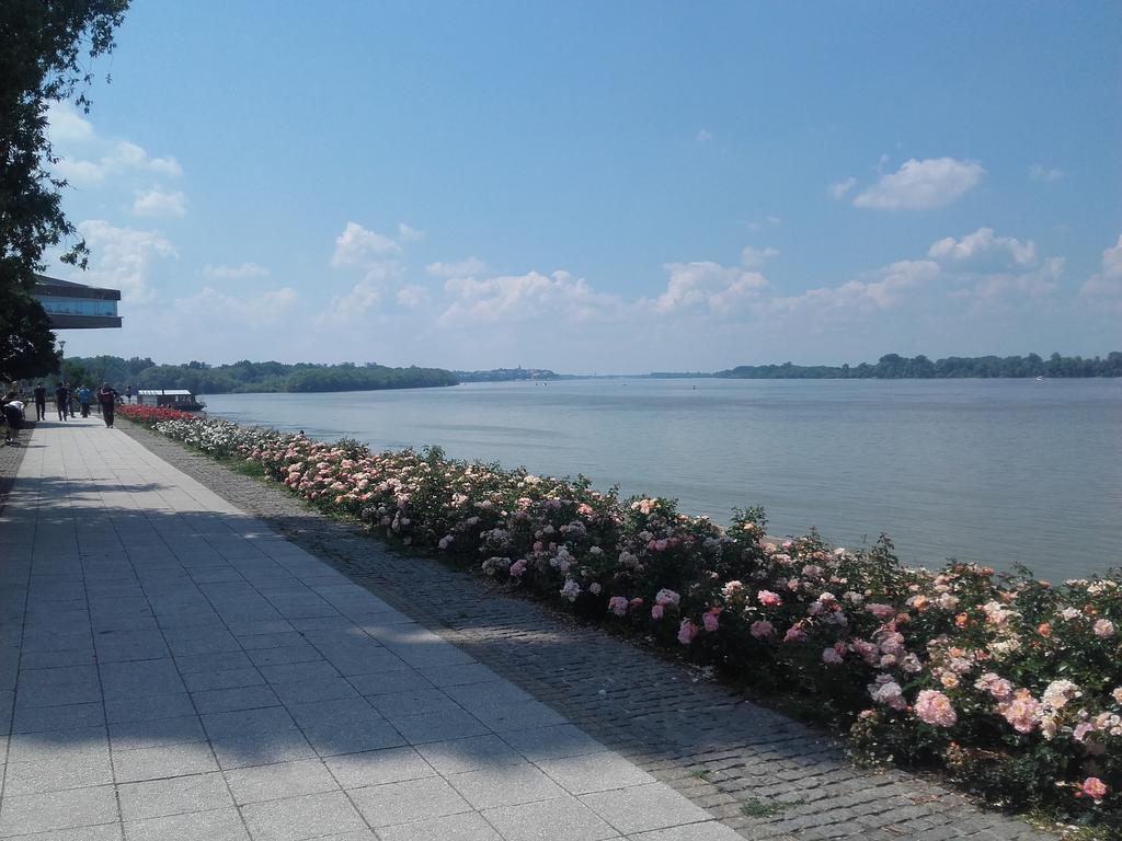 Danube Apartment Beograd Bagian luar foto